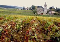 Domaine Gelin