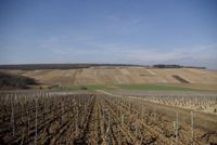 Domaine Raveneau