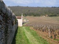 Domaine Esmonin Grand vin de Gevrey Chambertin 