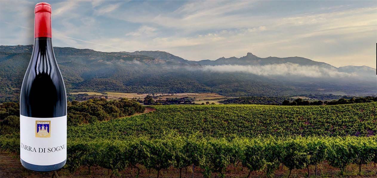 
La corse à l'honneur Domaine Clos Canarelli
Découvrir les vins
 