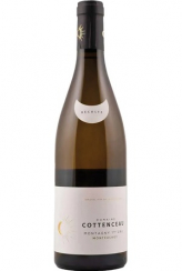 Domaine Cottenceau Maxime Montcuchots